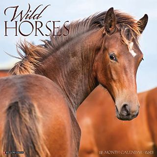 Get EPUB KINDLE PDF EBOOK Wild Horses 2023 Wall Calendar by  Willow Creek Press 📚
