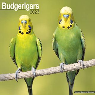 READ [PDF EBOOK EPUB KINDLE] Budgerigars Calendar - Parakeet Calendars -Calendars 2022 - 2023 Wall C