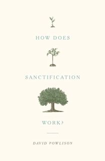 Read [KINDLE PDF EBOOK EPUB] How Does Sanctification Work? by  David Powlison 💑