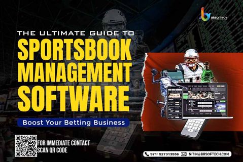 How To Choose Best Sportsbook Management Software Provider