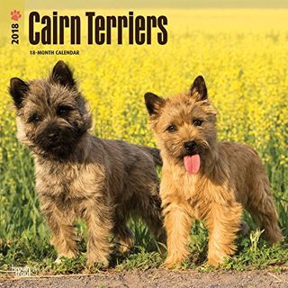 Get PDF EBOOK EPUB KINDLE Cairn Terriers 2018 12 x 12 Inch Monthly Square Wall Calendar, Animals Dog