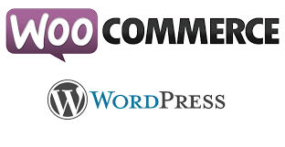 How to Establish Ecommerce Business with Woocommerce
