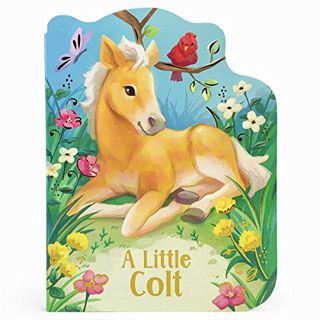 Access EPUB KINDLE PDF EBOOK A Little Colt: A Baby Horse Board Book Story by  Cottage Door Press,Ros