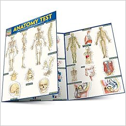 READ EBOOK EPUB KINDLE PDF Anatomy Test by Inc. BarCharts 📥