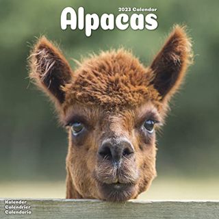 Access [PDF EBOOK EPUB KINDLE] Alpaca Wall Calendar - Cute Animal Calendar - Calendars 2022 - 2023 W