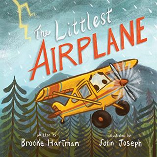 READ EBOOK EPUB KINDLE PDF The Littlest Airplane by  Brooke Hartman &  John Joseph 🖊️