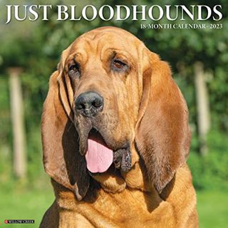 View EBOOK EPUB KINDLE PDF Just Bloodhounds 2023 Wall Calendar by  Willow Creek Press 📑