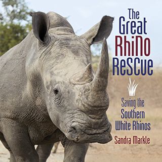 GET [EPUB KINDLE PDF EBOOK] The Great Rhino Rescue: Saving the Southern White Rhinos (Sandra Markle'