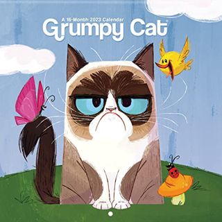 VIEW [PDF EBOOK EPUB KINDLE] 2023 Grumpy Cat Mini Wall Calendar by  Trends International 📄