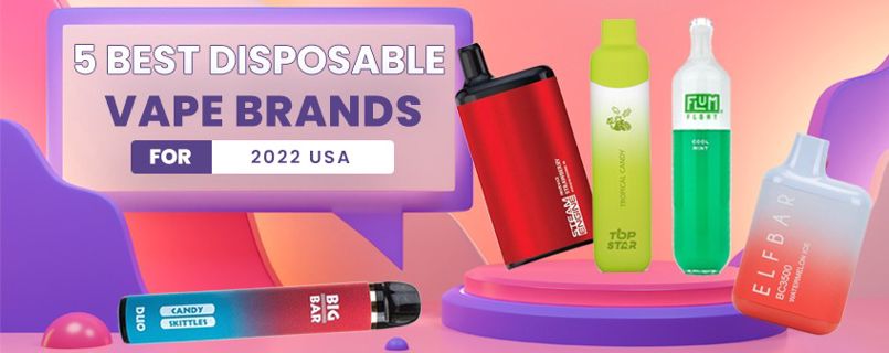 Best Disposable Vape Brands for 2022 USA