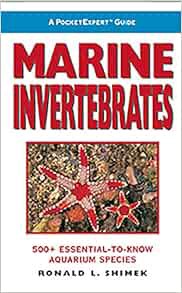 [ACCESS] PDF EBOOK EPUB KINDLE A PocketExpert Guide to Marine Invertebrates: 500+ Essential-to-Know