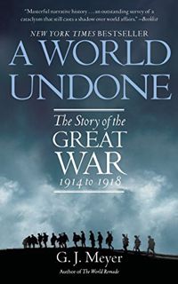 VIEW [EPUB KINDLE PDF EBOOK] A World Undone: The Story of the Great War, 1914 to 1918 by  G. J. Meye