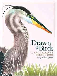 GET [PDF EBOOK EPUB KINDLE] Drawn to Birds: A Naturalist's Sketchbook (Jenny Geuder Art) by  Jenny d