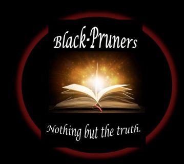 Black  pruners: YOUTH ADVOCACY AND EMPOWERMENT GROUP