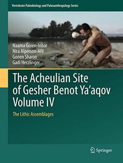 Read KINDLE PDF EBOOK EPUB The Acheulian Site of Gesher Benot Ya‘aqov Volume IV: The Lithic Assembla