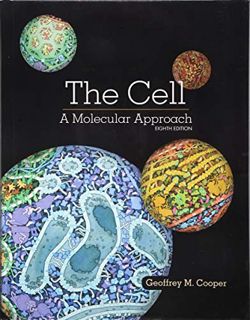 ACCESS EPUB KINDLE PDF EBOOK The Cell: A Molecular Approach by  Geoffrey Cooper 🖌️