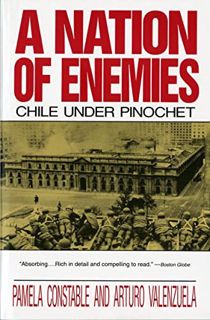 ACCESS KINDLE PDF EBOOK EPUB A Nation of Enemies: Chile Under Pinochet (Norton Paperback) by  Pamela