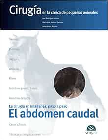 Read [KINDLE PDF EBOOK EPUB] El abdomen caudal. Cirugía en la clínica de pequeños animales (Spanish