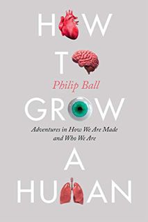 READ EBOOK EPUB KINDLE PDF How to Grow a Human: Adventures in How We Are Made and Who We Are by  Phi