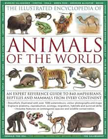 Access PDF EBOOK EPUB KINDLE The Illustrated Encyclopedia of Animals of the World: An expert referen