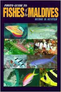 Read EPUB KINDLE PDF EBOOK Photo Guide to Fishes of the Maldives by Rudie H. Kuiter 🖍️