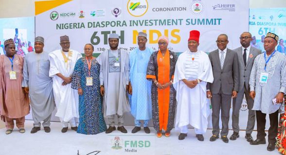 SPORTS MINISTER LAUDS CONTRIBUTIONS OF NIGERIANS IN DIASPORA TO NATION BUILDING