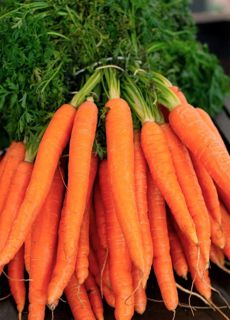 Carrots: Nutritional Composition, Health Benefits, Frequently Asked Questions