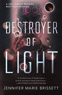 [Read] KINDLE PDF EBOOK EPUB Destroyer of Light by  Jennifer Marie Brissett ☑️