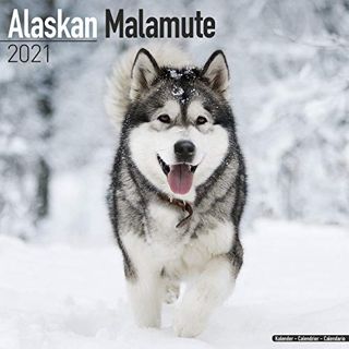 View [EPUB KINDLE PDF EBOOK] Alaskan Malamute Calendar - Dog Breed Calendars - 2020 - 2021 wall cale