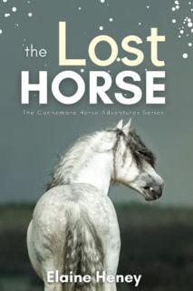 READ PDF EBOOK EPUB KINDLE The Lost Horse - Book 6 in the Connemara Horse Adventure Series for Kids