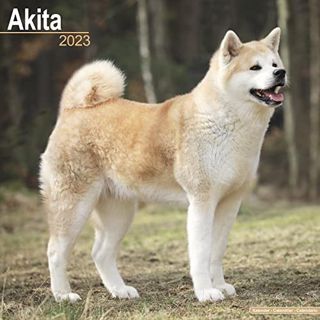 Access [KINDLE PDF EBOOK EPUB] Akita Calendar - Dog Breed Calendars - 2022 - 2023 wall calendars - 1
