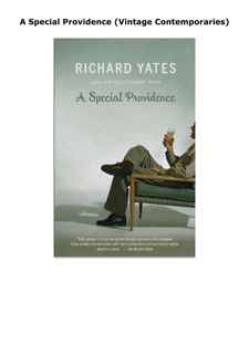 DOWNLOAD PDF A Special Providence (Vintage Contemporaries)