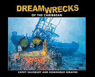 [GET] PDF EBOOK EPUB KINDLE DreamWrecks of the Caribbean: Diving the best shipwrecks of the region b