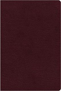 VIEW PDF EBOOK EPUB KINDLE NIV, Reference Bible, Giant Print, Bonded Leather, Burgundy, Red Letter,