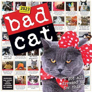 Get EPUB KINDLE PDF EBOOK Bad Cat Wall Calendar 2023: Hilarious Photos Celebrating the Misfits of th