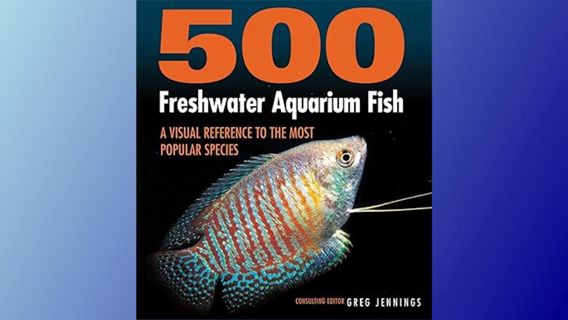 ^Epub^ 500 Freshwater Aquarium Fish: A Visual Reference to the Most Popular Species Written by  Greg