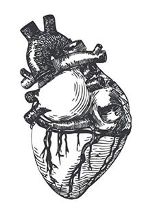 Get [EBOOK EPUB KINDLE PDF] Notebook: Anatomical Heart With HIDDEN Secret Message- Lined White Journ