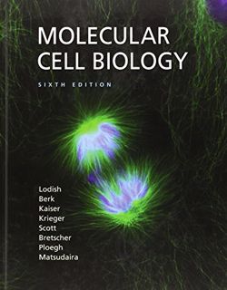 [Access] [EPUB KINDLE PDF EBOOK] Molecular Cell Biology by  Harvey Lodish,Arnold Berk,Chris A. Kaise