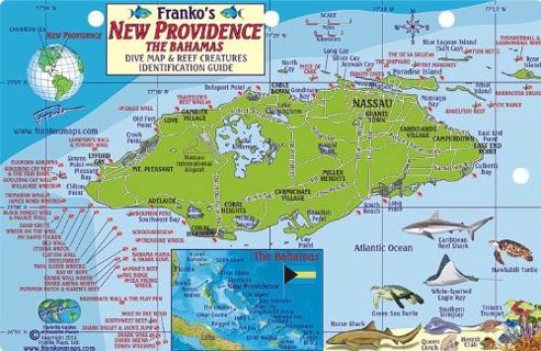 GET EPUB KINDLE PDF EBOOK New Providence Bahamas Dive Map & Reef Creatures Guide Franko Maps Laminat