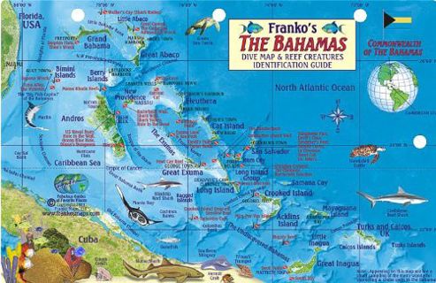 ACCESS [EPUB KINDLE PDF EBOOK] Bahamas Map & Reef Creatures Guide Franko Maps Laminated Fish Card by