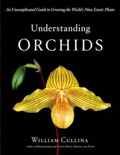 [GET] EPUB KINDLE PDF EBOOK Understanding Orchids: An Uncomplicated Guide to Growing the World's Mos