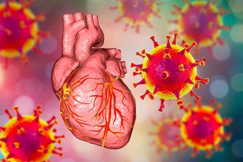Heart infections significant reason for death around the world
