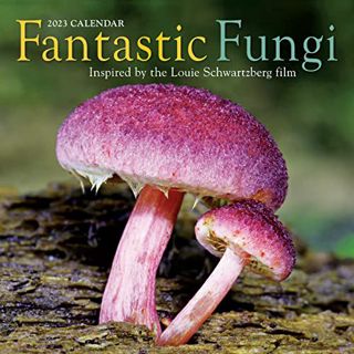 VIEW [KINDLE PDF EBOOK EPUB] Fantastic Fungi Wall Calendar 2023: For Mycologists, Artists, Foodies,