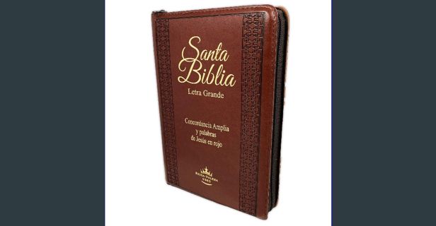 PDF [READ] ⚡ Biblia Letra Grande Tamaño Manual con Cierre Imitacion Piel Marron con Concordanci