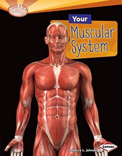 Get [KINDLE PDF EBOOK EPUB] Your Muscular System (Searchlight Books ™ — How Does Your Body Work?) by