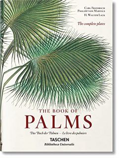 [Get] PDF EBOOK EPUB KINDLE Martius. The Book of Palms by  H. Walter Lack 📦