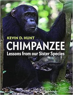 Read [PDF EBOOK EPUB KINDLE] Chimpanzee: Lessons from our Sister Species by Kevin D. Hunt 📙