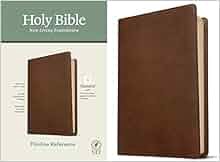 READ⚡️PDF❤️eBook NLT Thinline Reference Holy Bible (Red Letter, LeatherLike, Rustic Brown): Includes