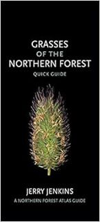 Read PDF EBOOK EPUB KINDLE Grasses of the Northern Forest: Quick Guide (The Northern Forest Atlas Gu