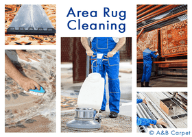 Top 10 Rug Cleaning Services in Brooklyn